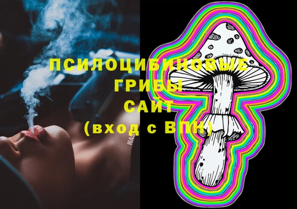дмт Армянск