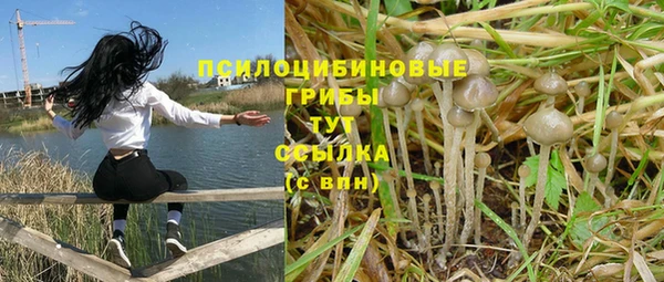 дмт Армянск