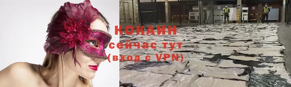 крисы Арсеньев
