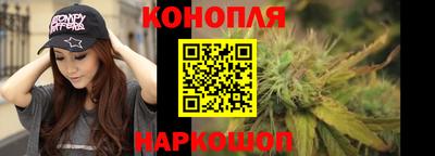 стафф Лесосибирск
