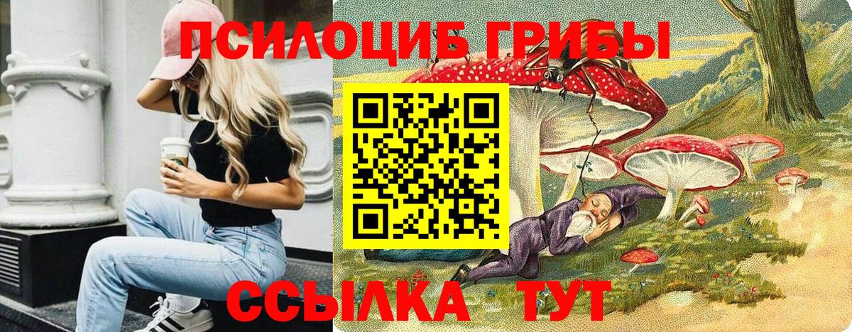 Галлюциногенные грибы MAGIC MUSHROOMS  Вход с VPN  Кирово-Чепецк 